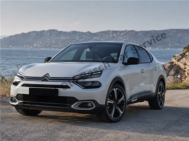 Kütahya Citroen Servisi